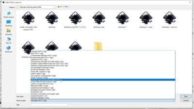 File Format