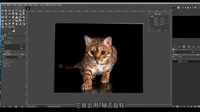 3D 变换工具