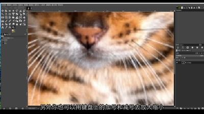 缩放显示工具