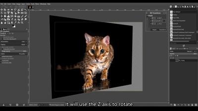 3D Transform