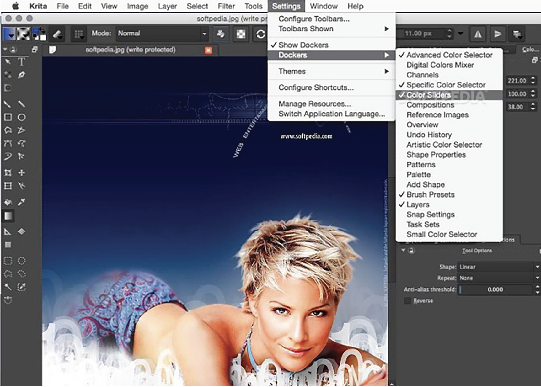 MicroMaster in Krita Digital Illustration Certificate Course