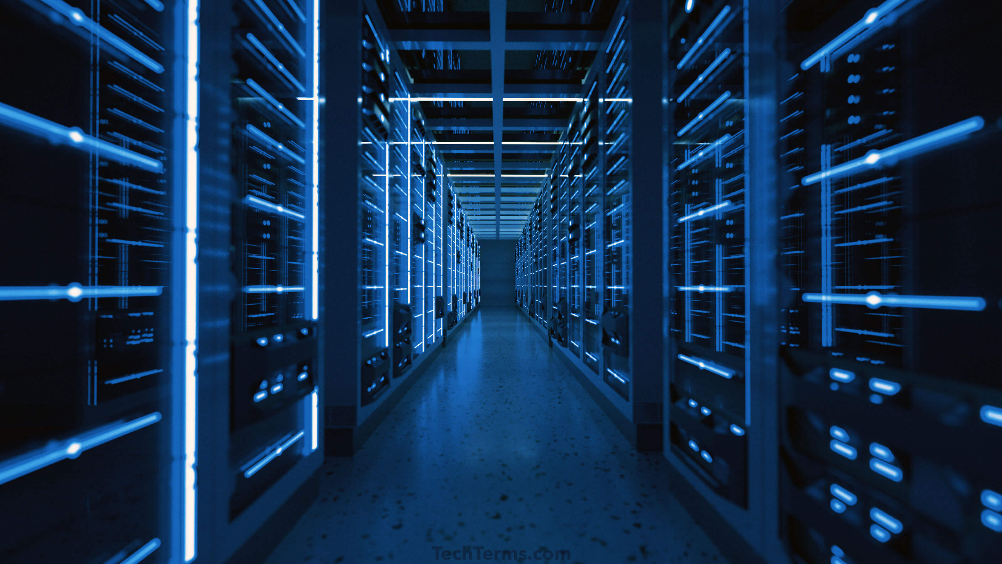 Web Server Setup